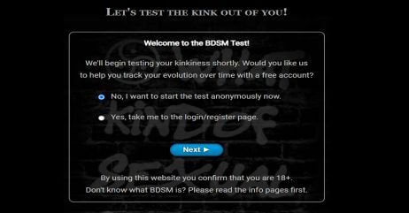 First page of the bdsm test website